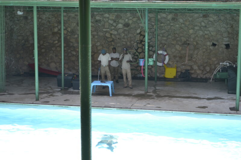 test R