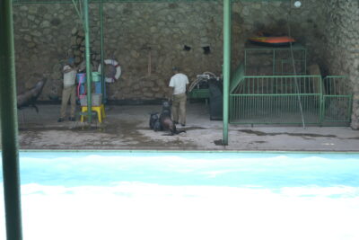 outlook test 1