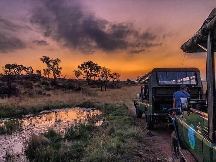 Uncovering Bezhoek: the pristine nature reserve hiding right in our own backyard