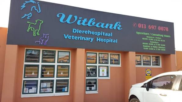 Witbank Veterinary Hospital Wins Regional Acclaim for Exceptional Animal Care