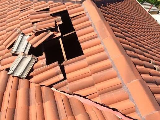 Housebreaking Method Making a Comeback