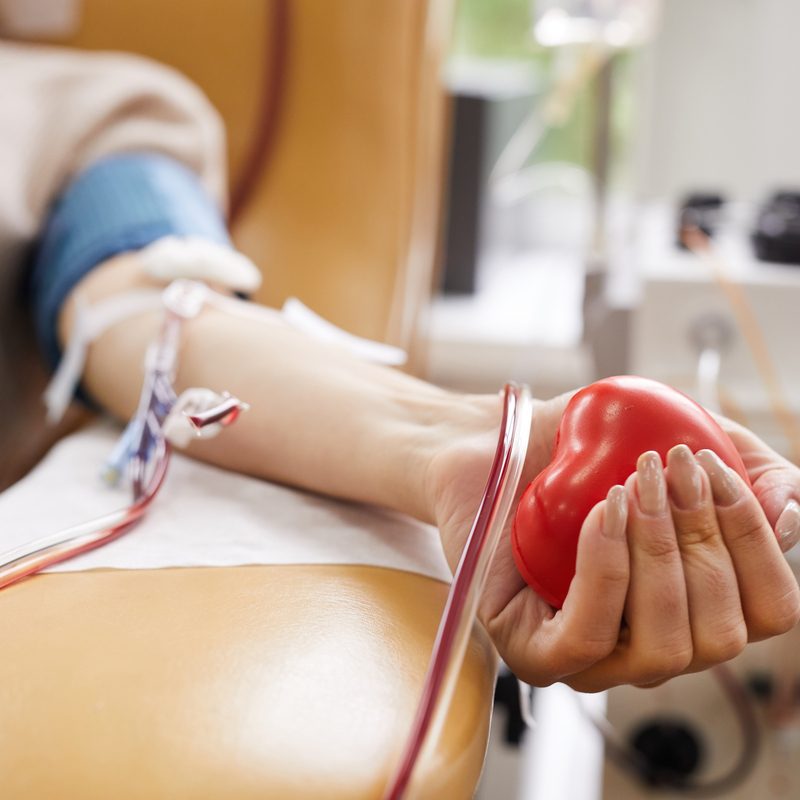 The Gift of Life vs. The Price Tag: Why Does “Free” Blood Cost So Much?