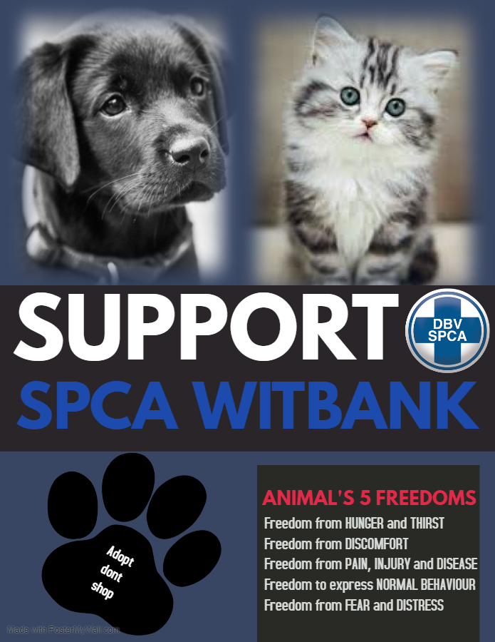 SPCA Kennel Care & Socialization Volunteers